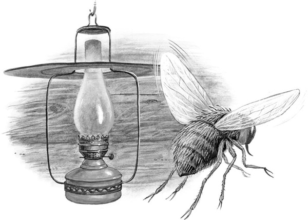 Иллюстрация к книге — Сказки и рассказы [_089copy.jpg]