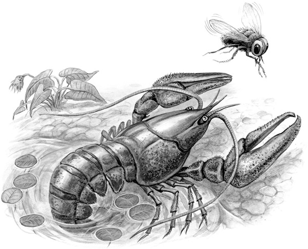 Иллюстрация к книге — Сказки и рассказы [_093copy.jpg]