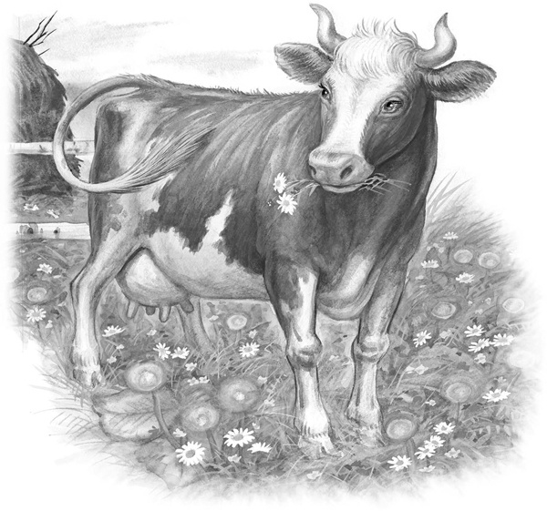 Иллюстрация к книге — Сказки и рассказы [_099copy.jpg]