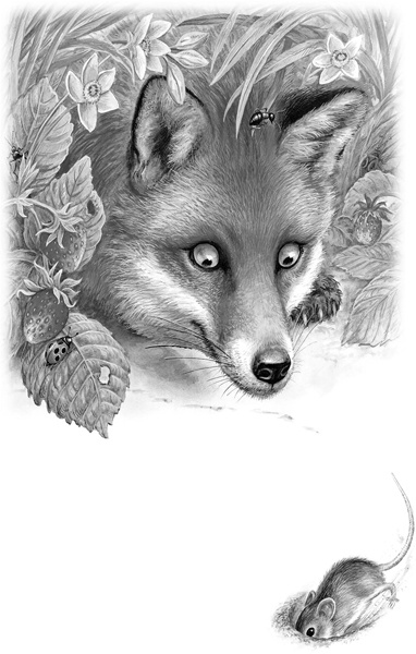 Иллюстрация к книге — Сказки и рассказы [_102.jpg]