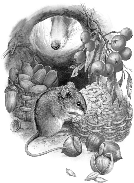 Иллюстрация к книге — Сказки и рассказы [_104.jpg]