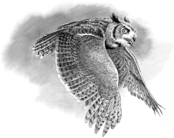 Иллюстрация к книге — Сказки и рассказы [_106copy.jpg]