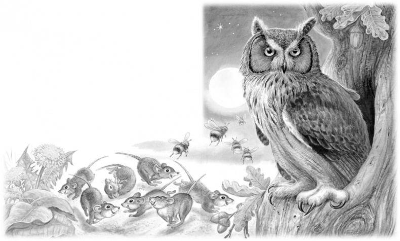 Иллюстрация к книге — Сказки и рассказы [_108109.jpg]