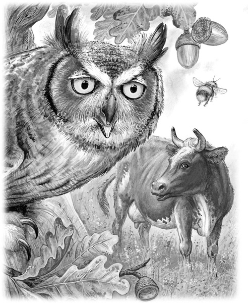 Иллюстрация к книге — Сказки и рассказы [_110.jpg]