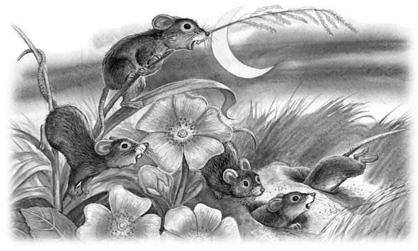 Иллюстрация к книге — Сказки и рассказы [_112copy.jpg]