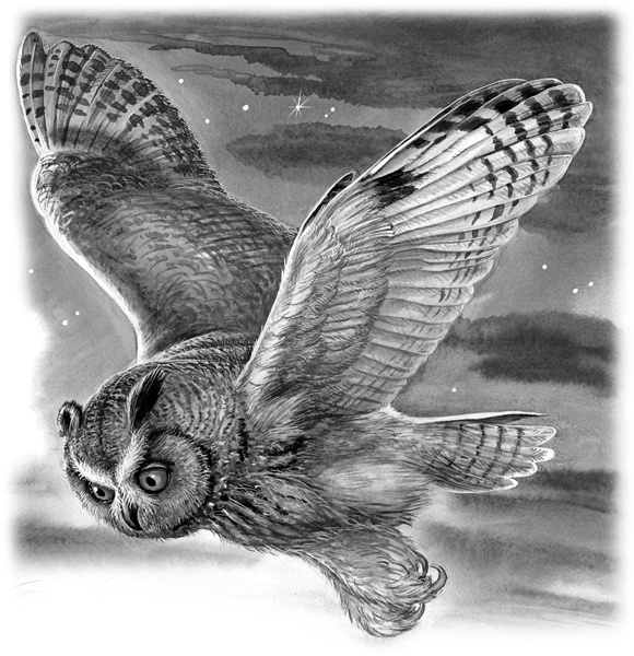 Иллюстрация к книге — Сказки и рассказы [_113.jpg]