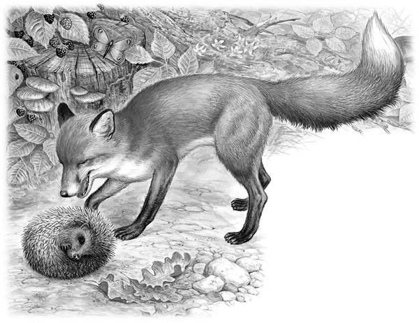 Иллюстрация к книге — Сказки и рассказы [_115copy.jpg]