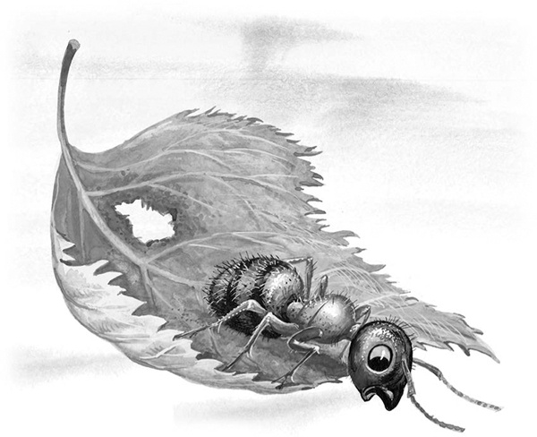 Иллюстрация к книге — Сказки и рассказы [_118copy.jpg]