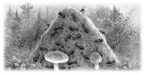 Иллюстрация к книге — Сказки и рассказы [_119copy.jpg]