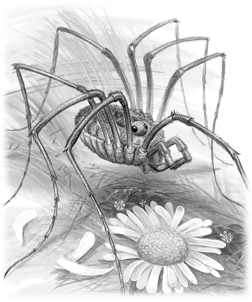 Иллюстрация к книге — Сказки и рассказы [_122.jpg]