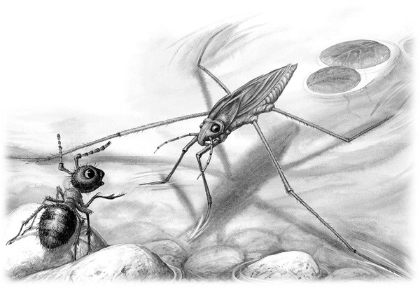 Иллюстрация к книге — Сказки и рассказы [_128copy.jpg]