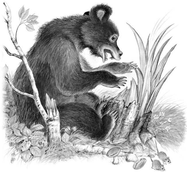 Иллюстрация к книге — Сказки и рассказы [_138.jpg]