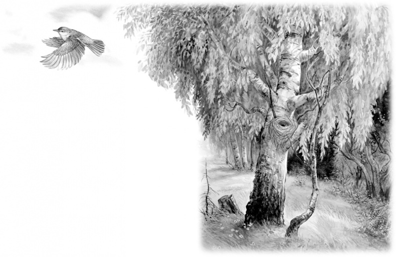 Иллюстрация к книге — Сказки и рассказы [_140141.jpg]