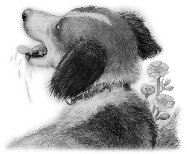 Иллюстрация к книге — Сказки и рассказы [_148copy.jpg]