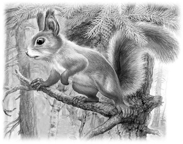 Иллюстрация к книге — Сказки и рассказы [_151copy.jpg]