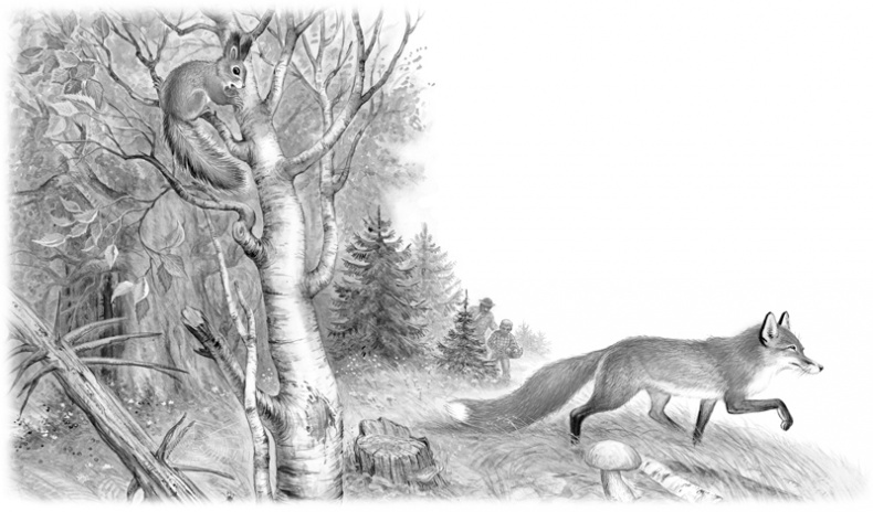 Иллюстрация к книге — Сказки и рассказы [_152153.jpg]