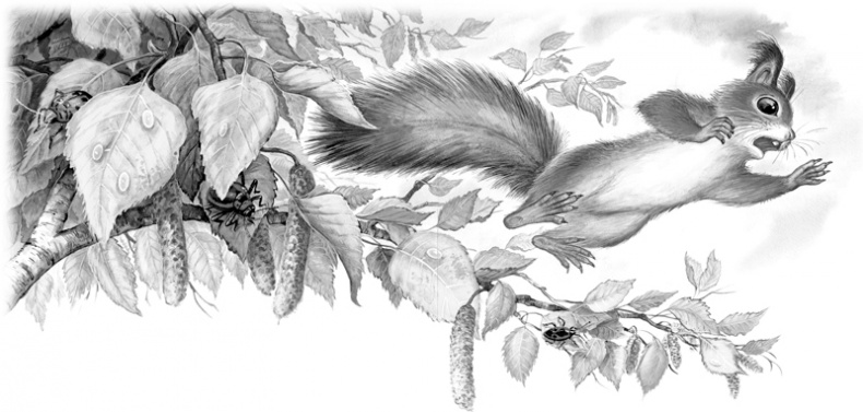 Иллюстрация к книге — Сказки и рассказы [_158159.jpg]