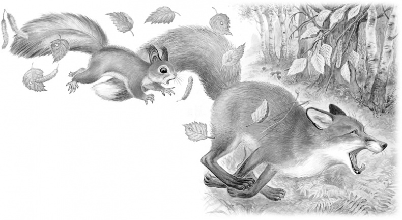 Иллюстрация к книге — Сказки и рассказы [_160161.jpg]