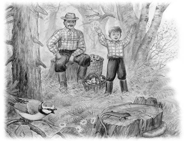 Иллюстрация к книге — Сказки и рассказы [_163copy.jpg]