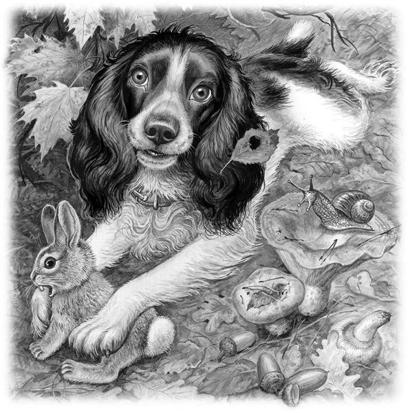 Иллюстрация к книге — Сказки и рассказы [_166.jpg]