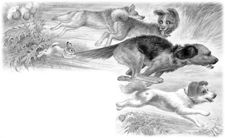 Иллюстрация к книге — Сказки и рассказы [_172173.jpg]