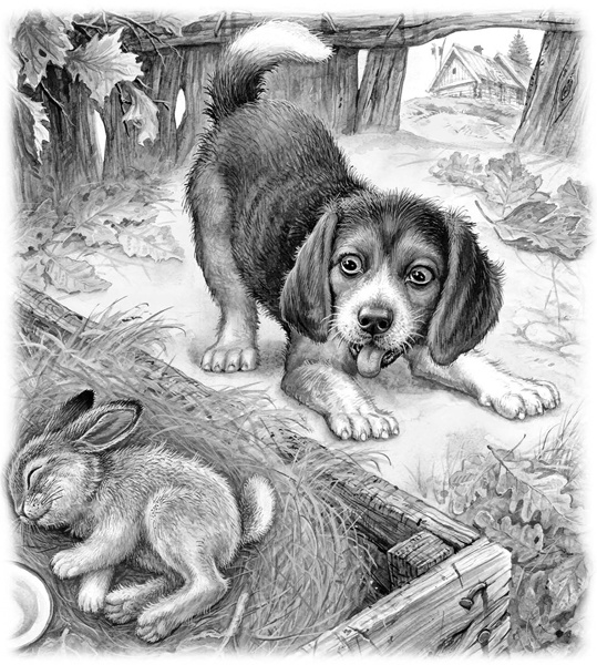 Иллюстрация к книге — Сказки и рассказы [_174.jpg]