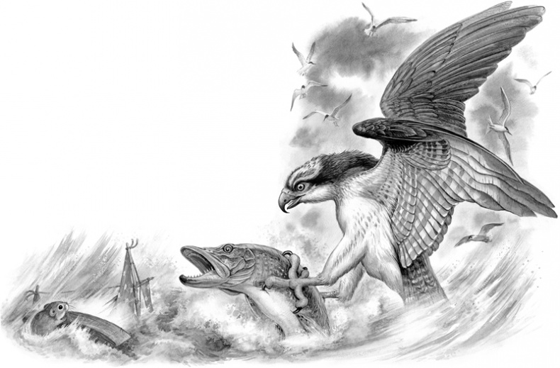 Иллюстрация к книге — Сказки и рассказы [_190191.jpg]