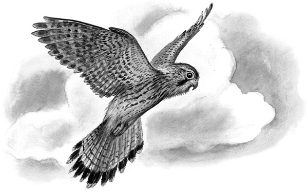 Иллюстрация к книге — Сказки и рассказы [_197copy.jpg]