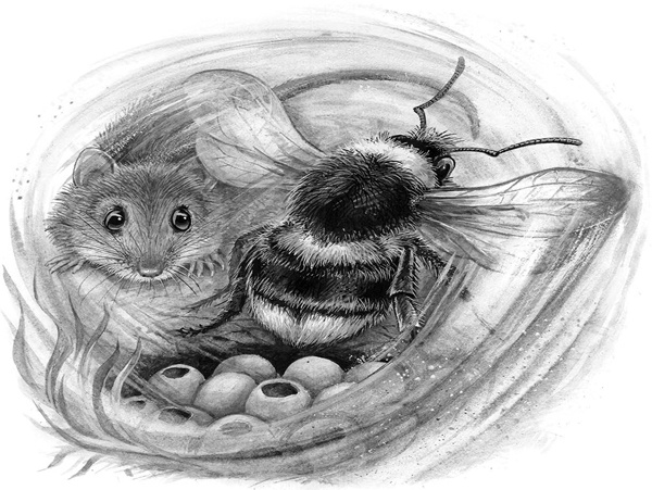 Иллюстрация к книге — Сказки и рассказы [_208copy.jpg]