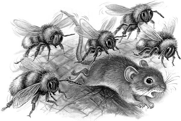 Иллюстрация к книге — Сказки и рассказы [_211copy.jpg]