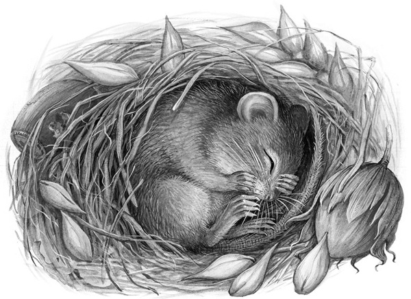 Иллюстрация к книге — Сказки и рассказы [_226copy.jpg]