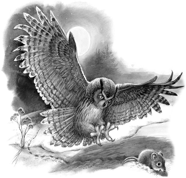 Иллюстрация к книге — Сказки и рассказы [_232copy.jpg]