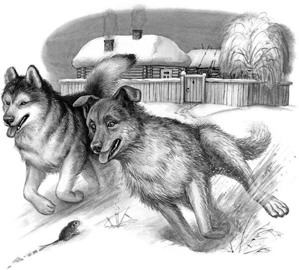 Иллюстрация к книге — Сказки и рассказы [_237copy.jpg]