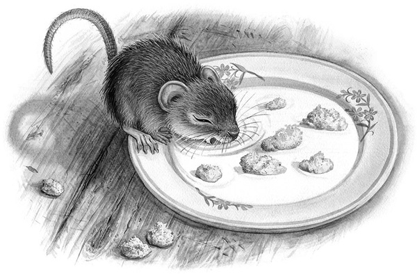 Иллюстрация к книге — Сказки и рассказы [_248copy.jpg]