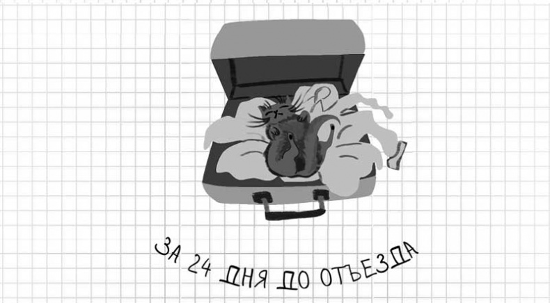 Иллюстрация к книге — Дневник дебильного кота. Великое путешествие Эдгара [i_005.jpg]