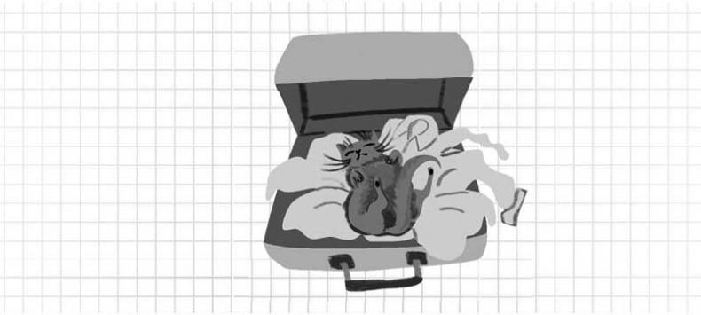 Иллюстрация к книге — Дневник дебильного кота. Великое путешествие Эдгара [i_009.jpg]