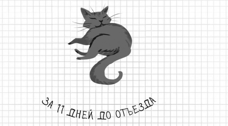 Иллюстрация к книге — Дневник дебильного кота. Великое путешествие Эдгара [i_015.jpg]