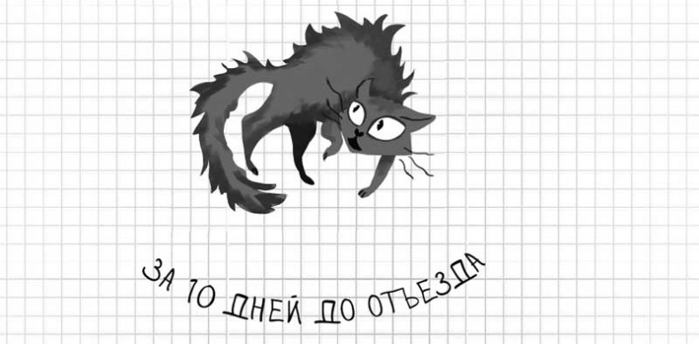 Иллюстрация к книге — Дневник дебильного кота. Великое путешествие Эдгара [i_017.jpg]