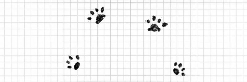 Иллюстрация к книге — Дневник дебильного кота. Великое путешествие Эдгара [i_020.jpg]