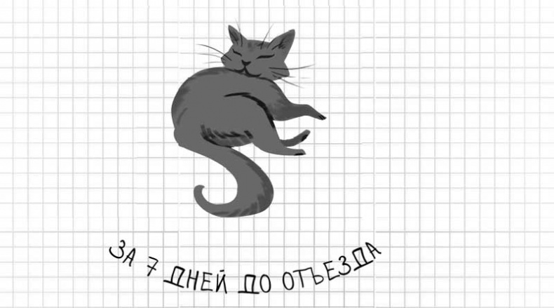 Иллюстрация к книге — Дневник дебильного кота. Великое путешествие Эдгара [i_023.jpg]