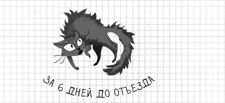 Иллюстрация к книге — Дневник дебильного кота. Великое путешествие Эдгара [i_025.jpg]