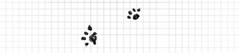 Иллюстрация к книге — Дневник дебильного кота. Великое путешествие Эдгара [i_028.jpg]