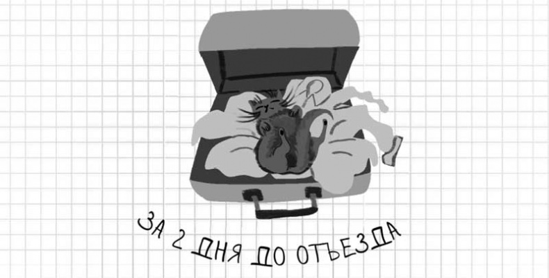 Иллюстрация к книге — Дневник дебильного кота. Великое путешествие Эдгара [i_033.jpg]