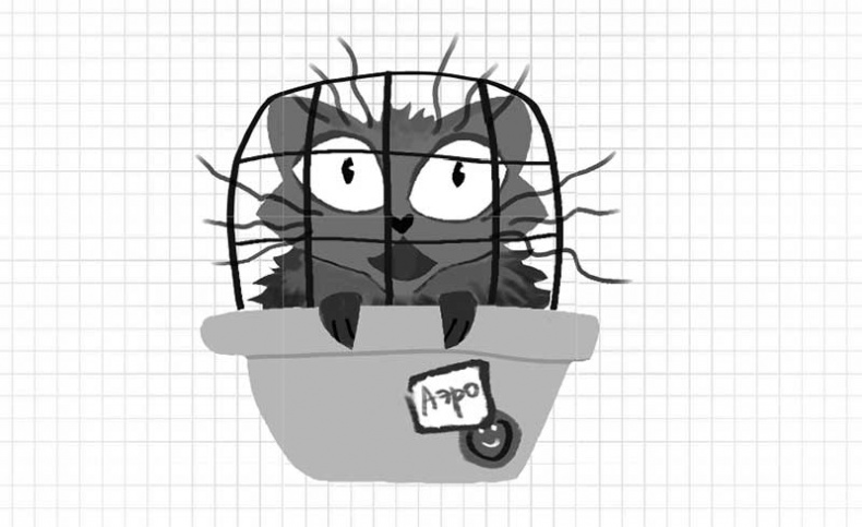 Иллюстрация к книге — Дневник дебильного кота. Великое путешествие Эдгара [i_051.jpg]