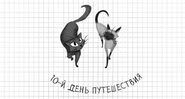 Иллюстрация к книге — Дневник дебильного кота. Великое путешествие Эдгара [i_069.jpg]