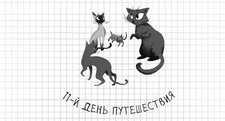 Иллюстрация к книге — Дневник дебильного кота. Великое путешествие Эдгара [i_078.jpg]