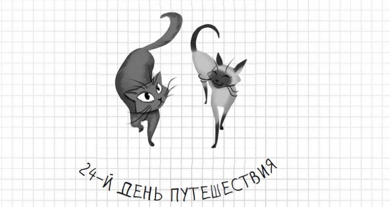 Иллюстрация к книге — Дневник дебильного кота. Великое путешествие Эдгара [i_117.jpg]