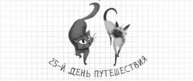 Иллюстрация к книге — Дневник дебильного кота. Великое путешествие Эдгара [i_119.jpg]