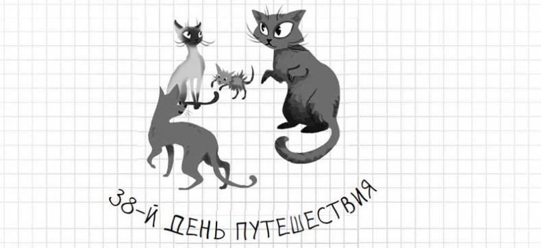 Иллюстрация к книге — Дневник дебильного кота. Великое путешествие Эдгара [i_152.jpg]