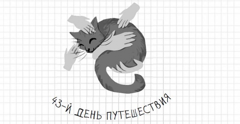 Иллюстрация к книге — Дневник дебильного кота. Великое путешествие Эдгара [i_168.jpg]